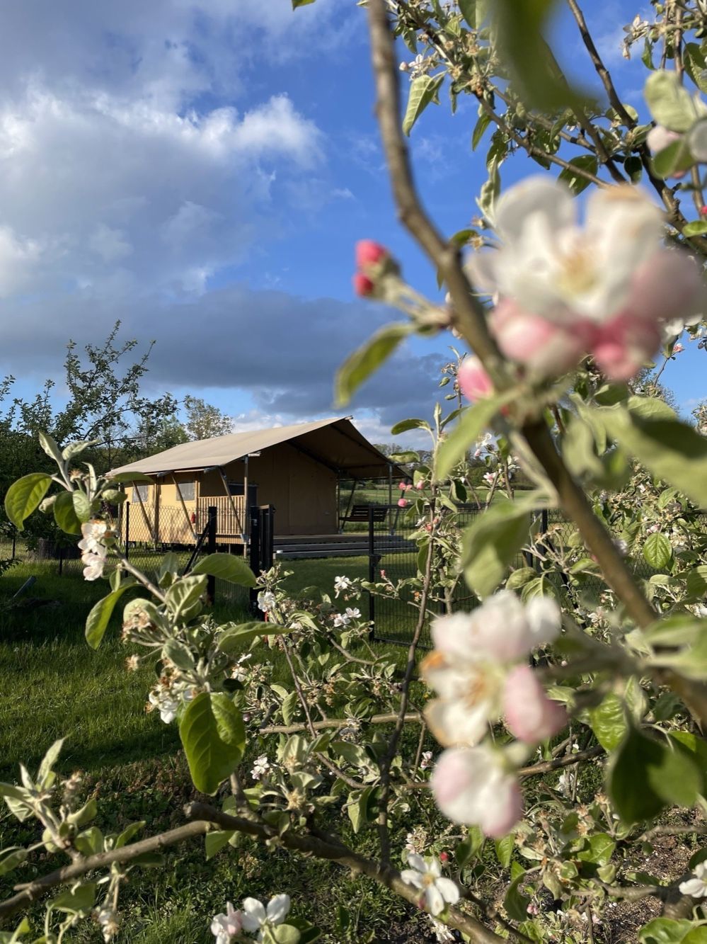 Sielanka Glamping — zdjęcie 28